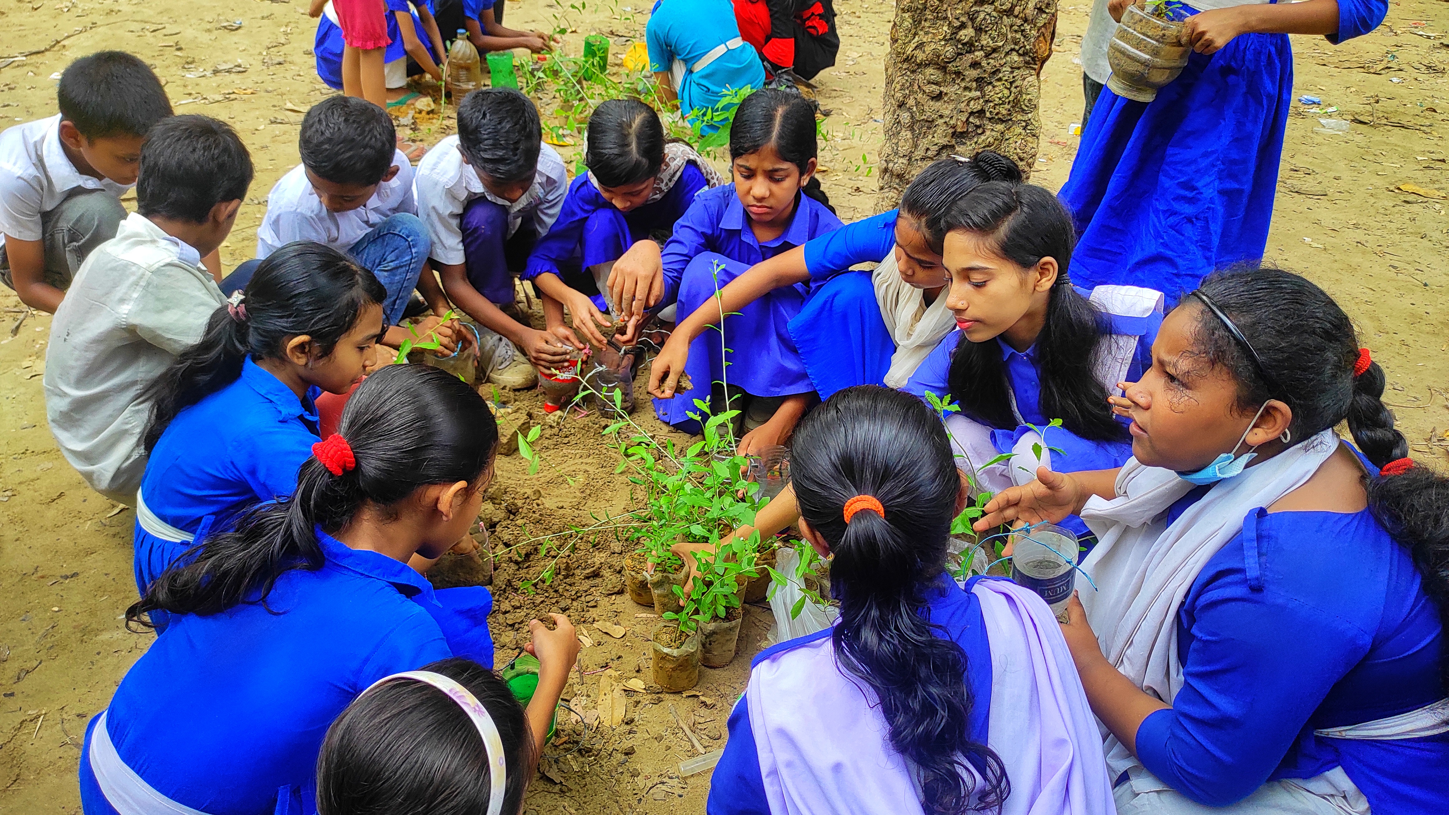 Climate Education