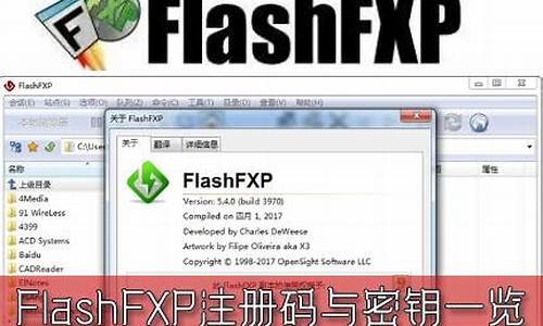 flashfxp注册码机_flash8注册