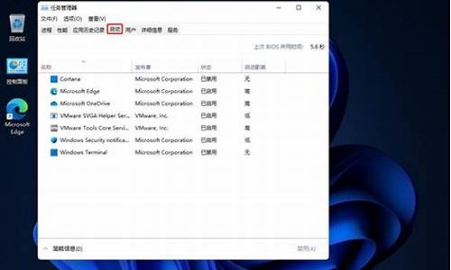 windows11开机后黑屏_windows11开机后黑屏只有鼠标